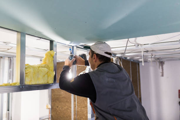Best Commercial Insulation in Plantation, FL