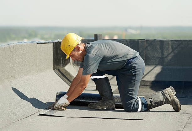 Best Geographic-Specific Insulation Services in Plantation, FL