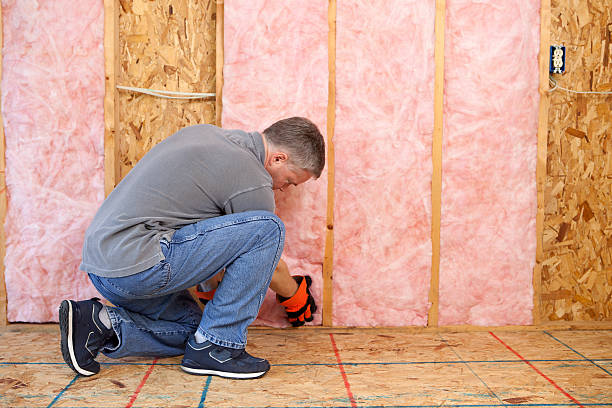 Best Residential Insulation in Plantation, FL