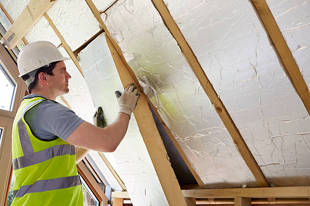 Best Specialized Insulation Services in Plantation, FL